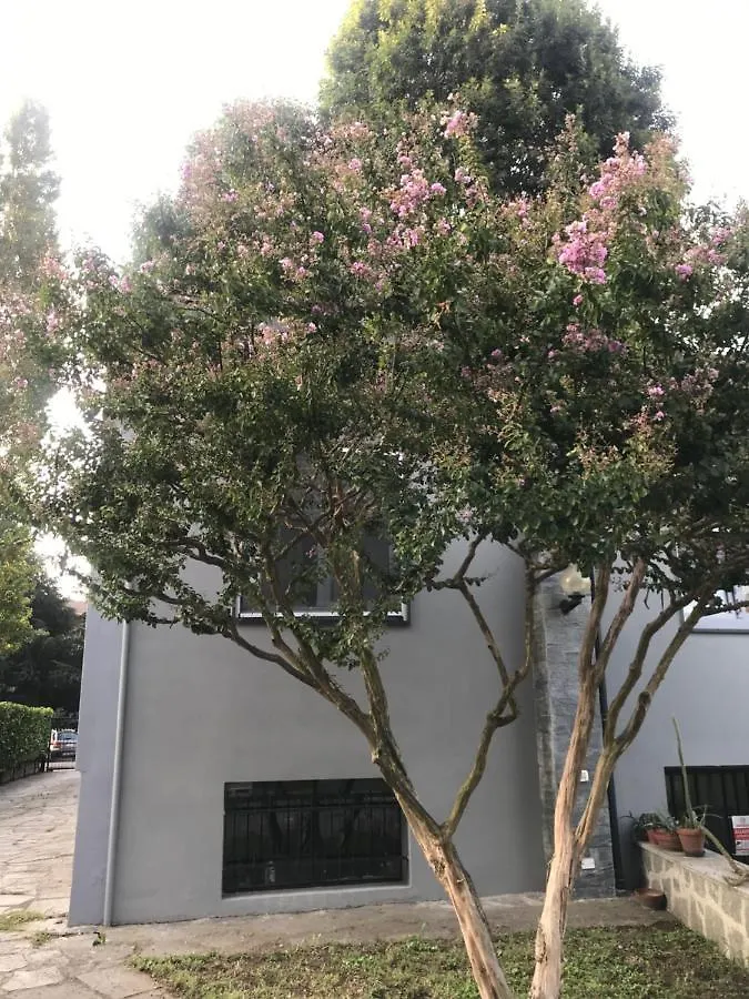 Appartamento per single in villa Vigevano