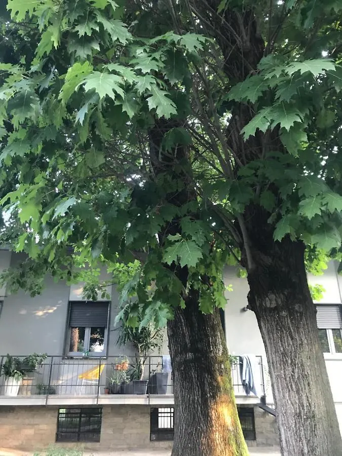 Appartamento per single in villa Vigevano